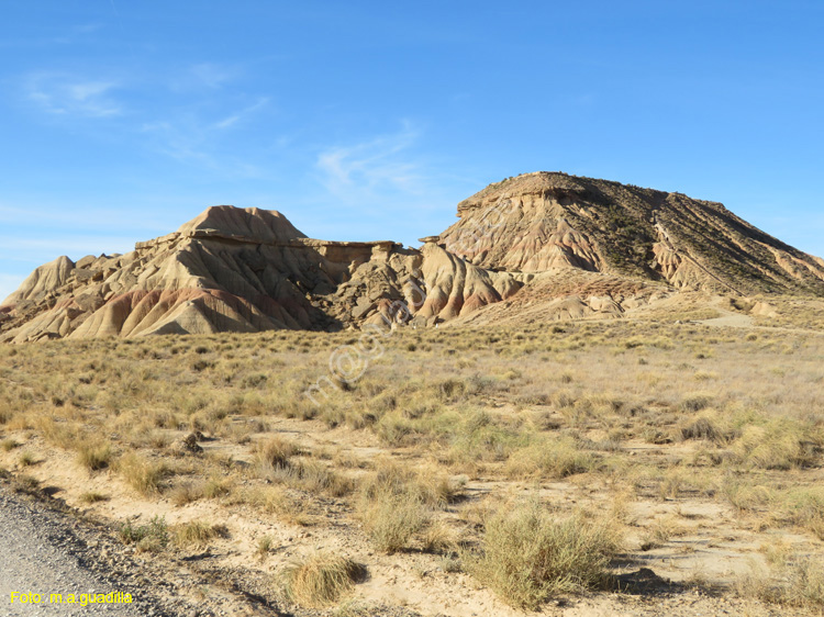 LAS BARDENAS REALES - Arguedas (114)