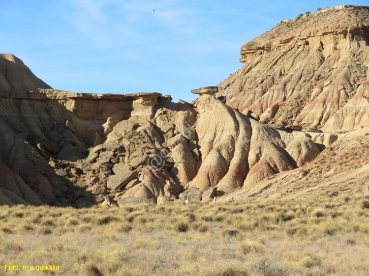 LAS BARDENAS REALES - Arguedas (115)