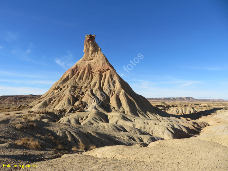 LAS BARDENAS REALES - Arguedas (118)
