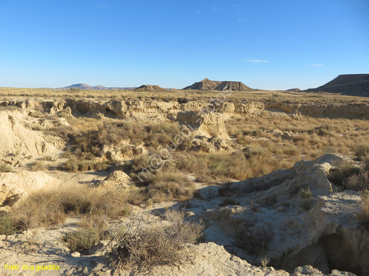 LAS BARDENAS REALES - Arguedas (119)