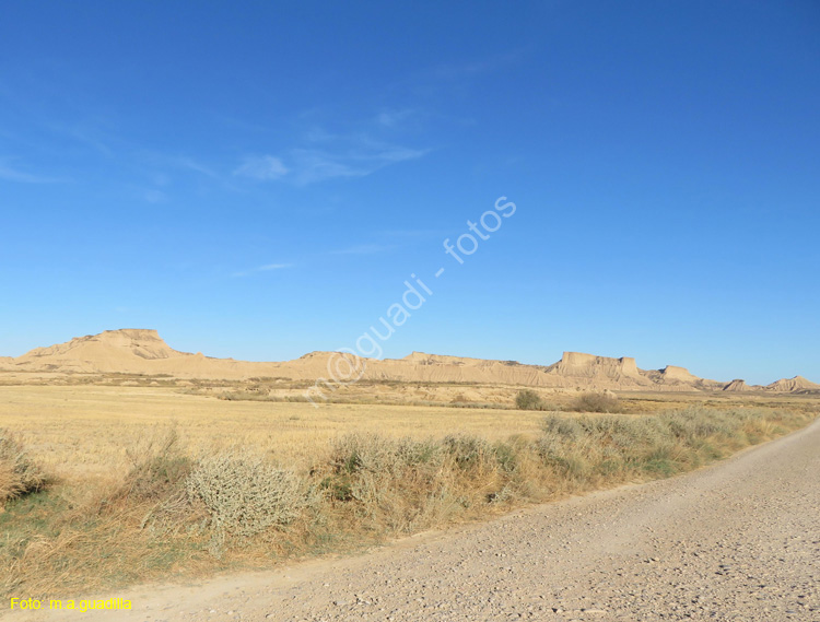 LAS BARDENAS REALES - Arguedas (120)