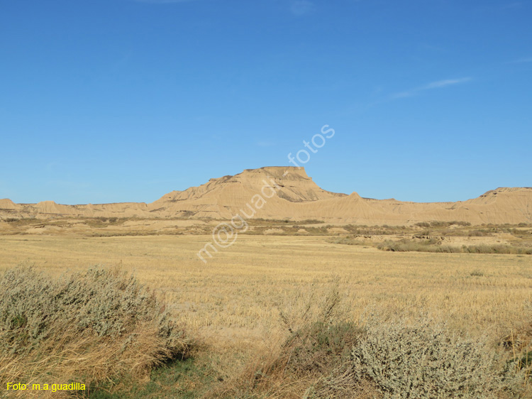 LAS BARDENAS REALES - Arguedas (121)