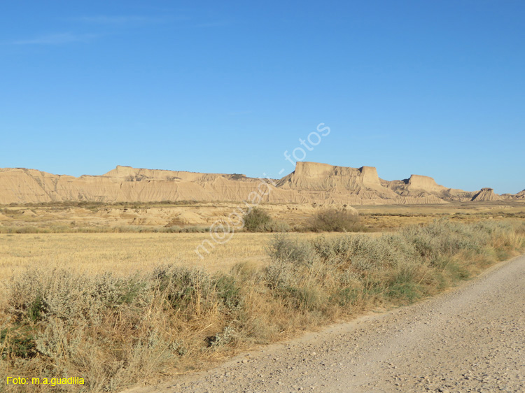 LAS BARDENAS REALES - Arguedas (122)