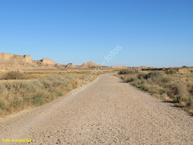 LAS BARDENAS REALES - Arguedas (123)