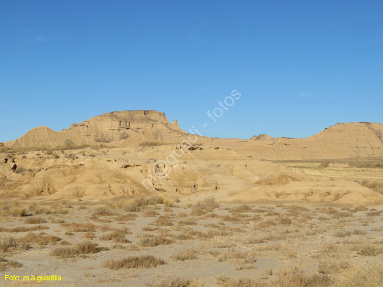 LAS BARDENAS REALES - Arguedas (124)