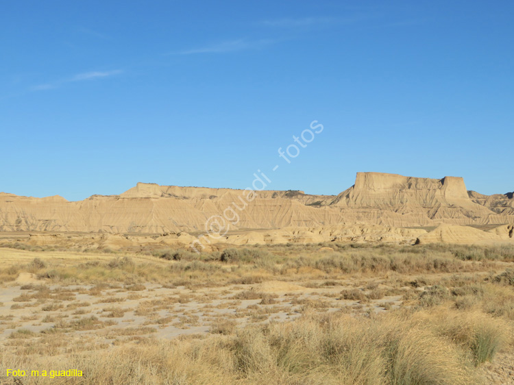 LAS BARDENAS REALES - Arguedas (125)
