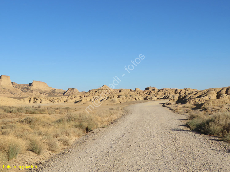 LAS BARDENAS REALES - Arguedas (126)