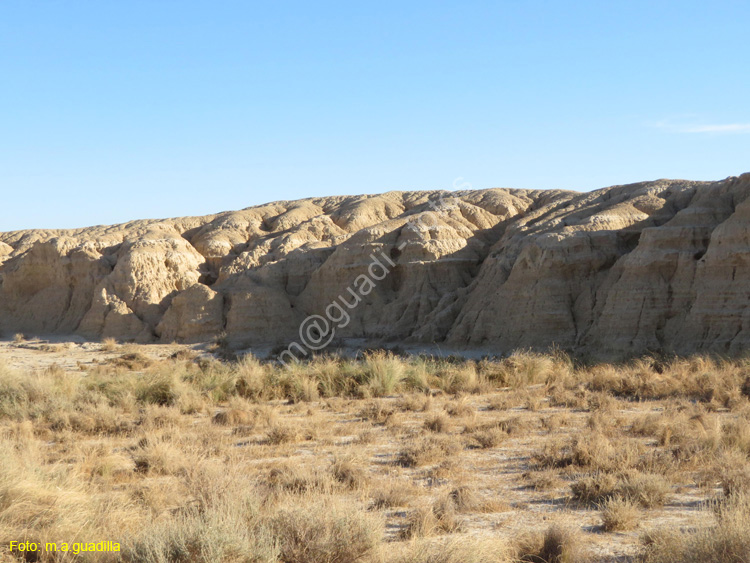 LAS BARDENAS REALES - Arguedas (127)