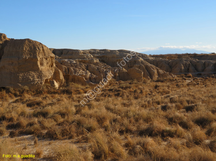 LAS BARDENAS REALES - Arguedas (128)