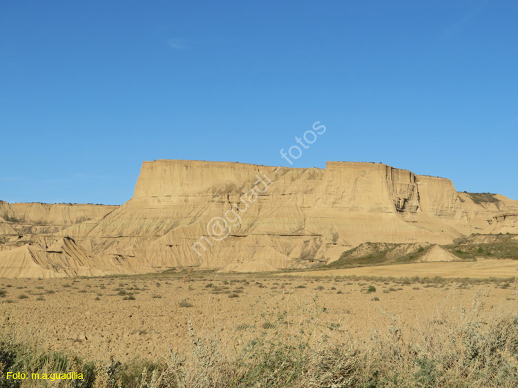 LAS BARDENAS REALES - Arguedas (129)