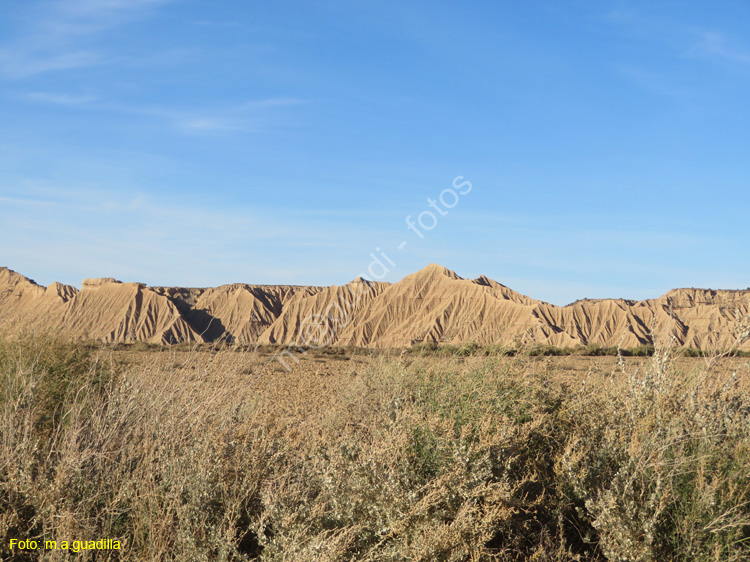 LAS BARDENAS REALES - Arguedas (130)