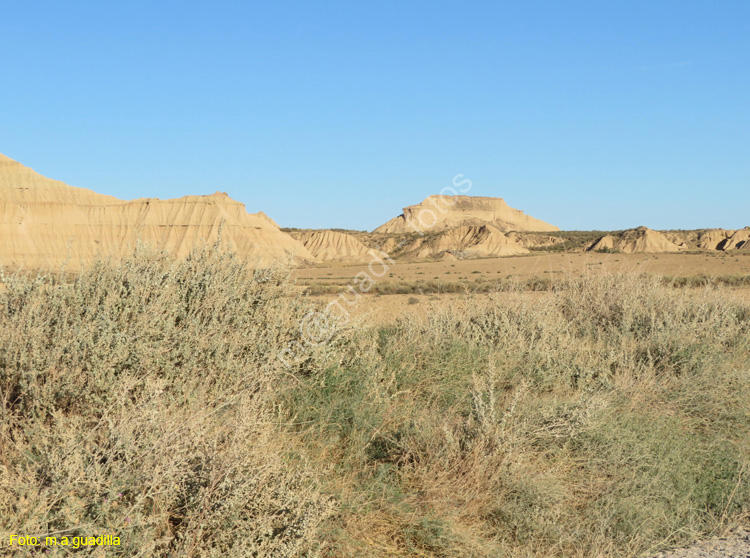 LAS BARDENAS REALES - Arguedas (131)