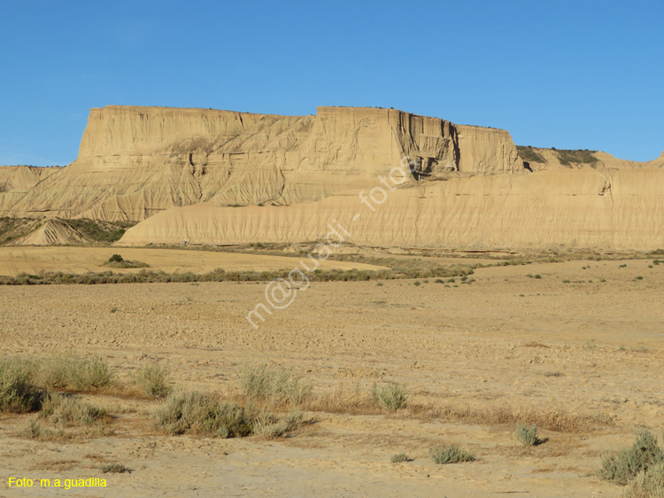 LAS BARDENAS REALES - Arguedas (132)