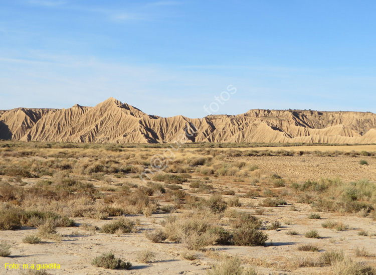 LAS BARDENAS REALES - Arguedas (133)