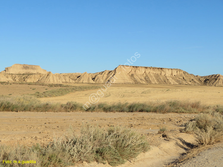 LAS BARDENAS REALES - Arguedas (134)