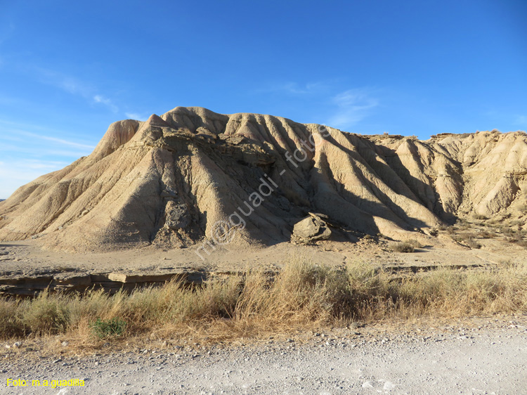 LAS BARDENAS REALES - Arguedas (135)