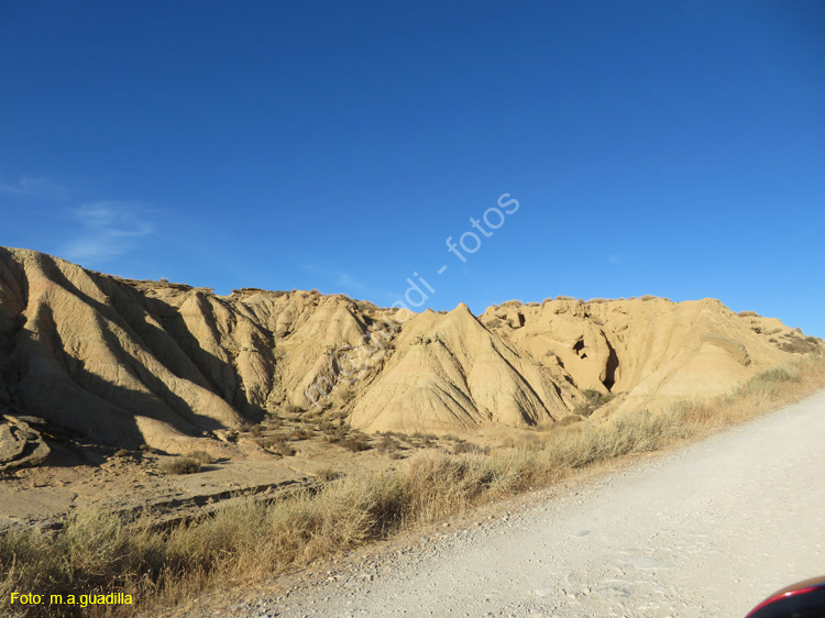LAS BARDENAS REALES - Arguedas (136)