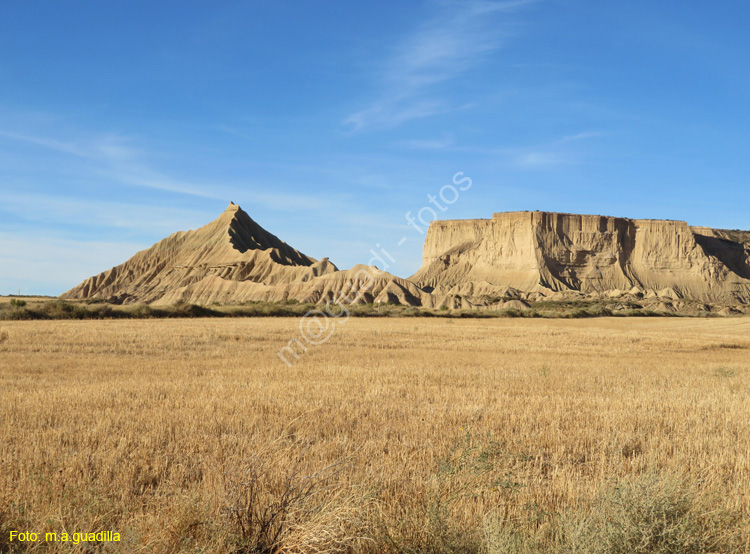 LAS BARDENAS REALES - Arguedas (137)