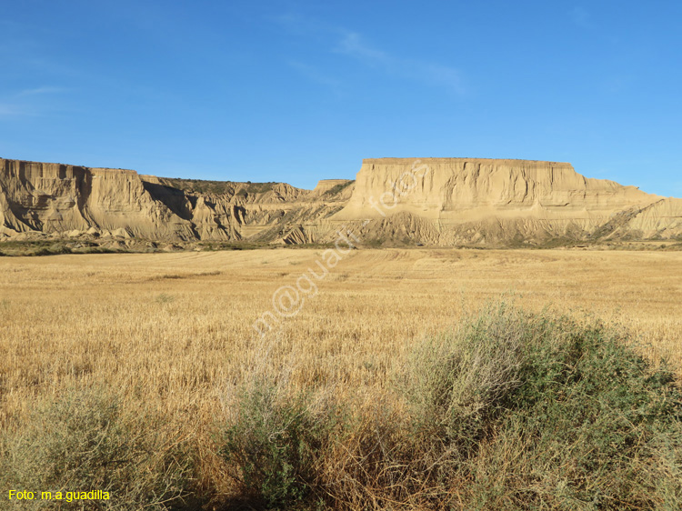 LAS BARDENAS REALES - Arguedas (138)