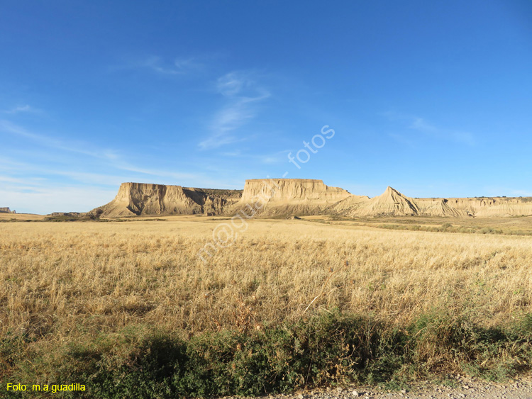 LAS BARDENAS REALES - Arguedas (140)