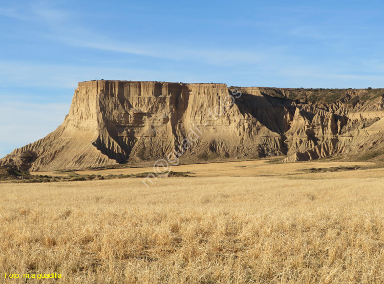LAS BARDENAS REALES - Arguedas (141)