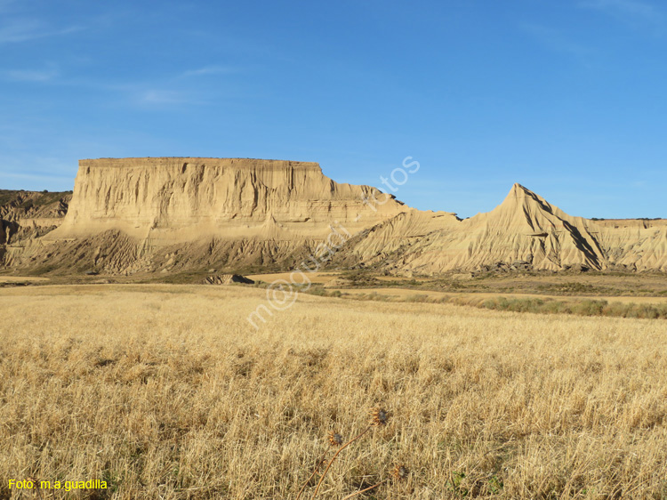 LAS BARDENAS REALES - Arguedas (142)