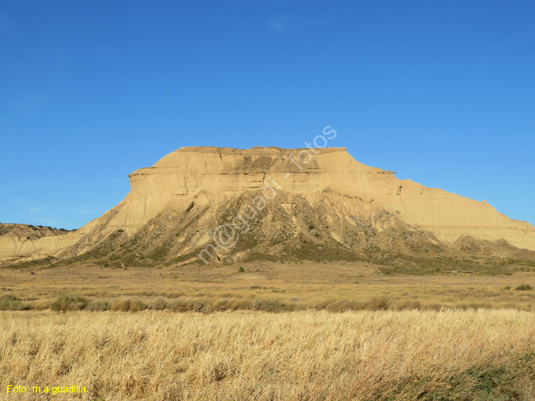 LAS BARDENAS REALES - Arguedas (143)