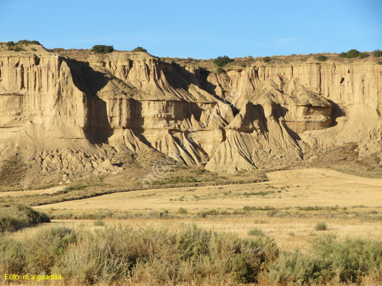 LAS BARDENAS REALES - Arguedas (144)