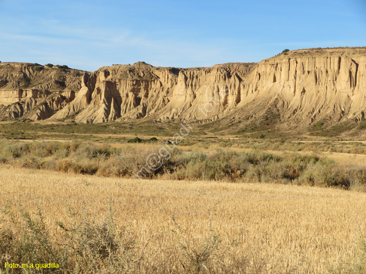LAS BARDENAS REALES - Arguedas (145)