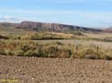 LAS BARDENAS REALES - Arguedas (101)