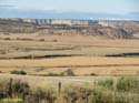 LAS BARDENAS REALES - Arguedas (102)