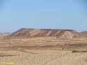 LAS BARDENAS REALES - Arguedas (104)