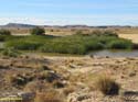 LAS BARDENAS REALES - Arguedas (106)
