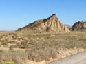 LAS BARDENAS REALES - Arguedas (111)