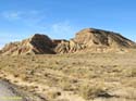 LAS BARDENAS REALES - Arguedas (114)