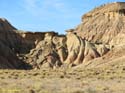 LAS BARDENAS REALES - Arguedas (115)