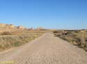 LAS BARDENAS REALES - Arguedas (123)