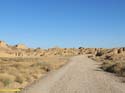 LAS BARDENAS REALES - Arguedas (126)