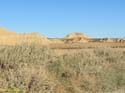 LAS BARDENAS REALES - Arguedas (131)