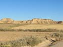 LAS BARDENAS REALES - Arguedas (134)