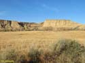 LAS BARDENAS REALES - Arguedas (138)