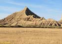 LAS BARDENAS REALES - Arguedas (139)