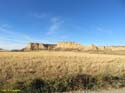 LAS BARDENAS REALES - Arguedas (140)