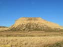 LAS BARDENAS REALES - Arguedas (143)
