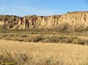 LAS BARDENAS REALES - Arguedas (145)