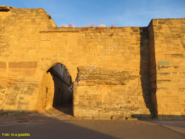 BRIONES (165) Puerta de la Villa