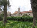Montenegro - Budva (121)