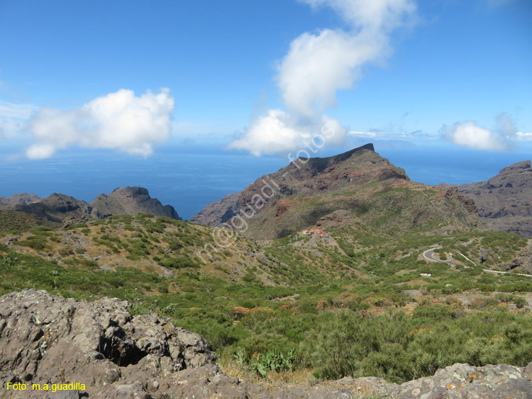 BUENAVISTA DEL NORTE (104) MASCA