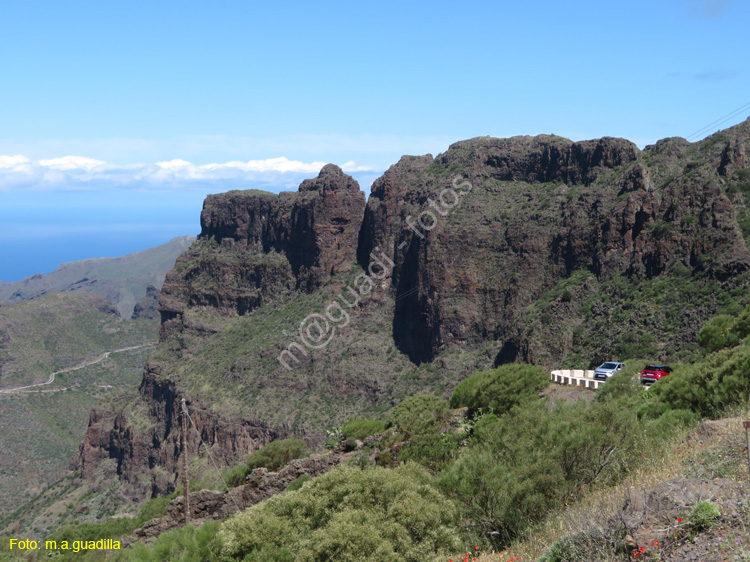 BUENAVISTA DEL NORTE (105) MASCA