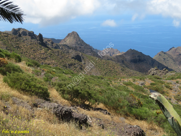 BUENAVISTA DEL NORTE (107) MASCA